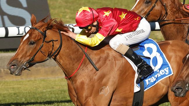 Prime Star is on the second line of betting for the Bondi Stakes at Royal Randwick. Picture: Getty Images