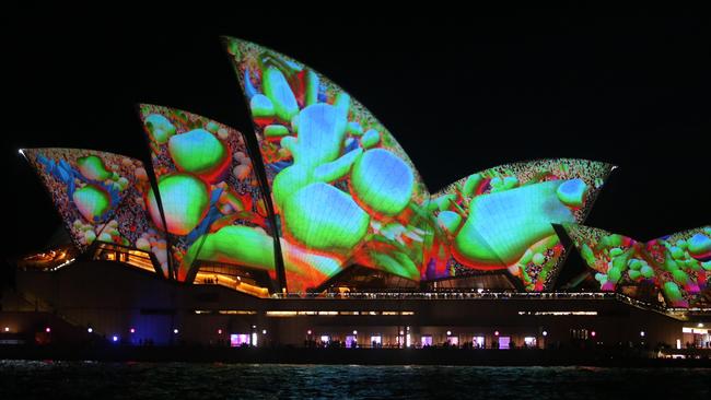 Vivid brought in $143m to the NSW economy last year. Photo: Bob Barker.