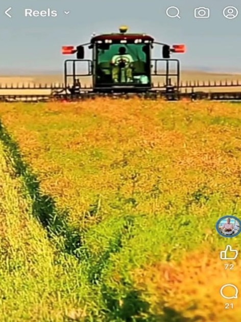 The canola field shown in the video is actually a field in Alberta, Canada.