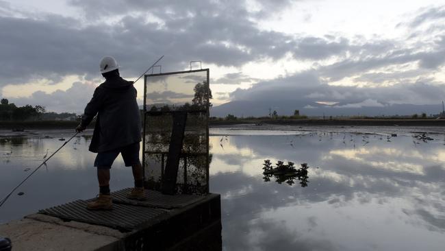 The Seafarms prawn farm in Cardwell, Queensland is also struggling. Picture: Bloomberg