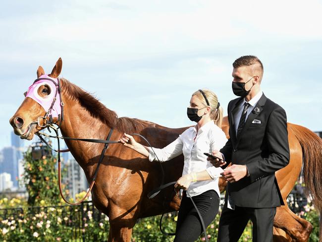 Jamie Kah is seen strapping Bless Her trained by Clayton Douglas. Picture: Vince Caligiuri/Getty Images