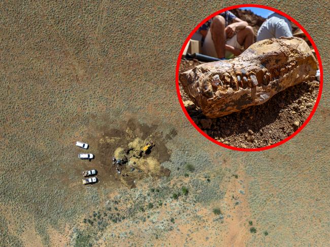 The Qld Museum dig site of a Plesiosaur near Mckinlay, QLD.