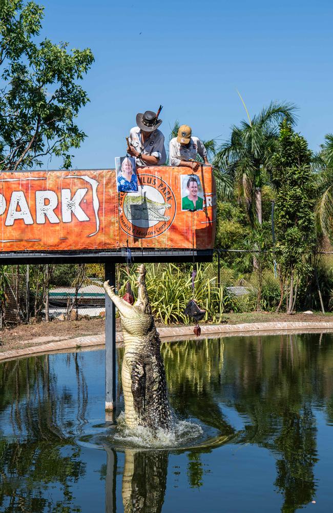 Speckles the psychic croc predicts the 2024 Northern Territory election will swing to Labor leader Eva Lawler. Picture: Pema Tamang Pakhrin