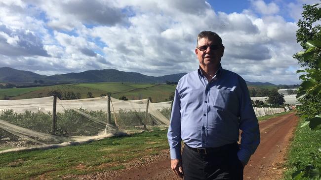 Costa Group chief executive Harry Debney at the group's blackberry and blueberry farms near Devonport in Tasmania. Supplied.