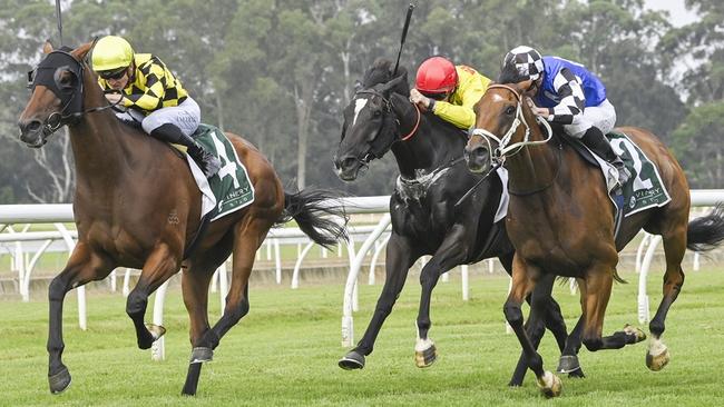 Fulfilled (outside) can record his first Australian win at Wyong. Picture: Bradley Photos