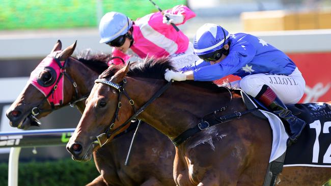 Jeff Lloyd drives Snow Fields to the line on Saturday. Picture: Darren England