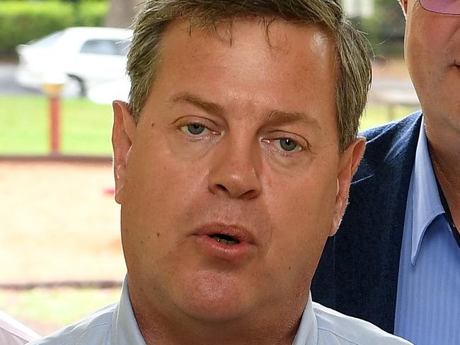 Nicholls: LNP could still form government