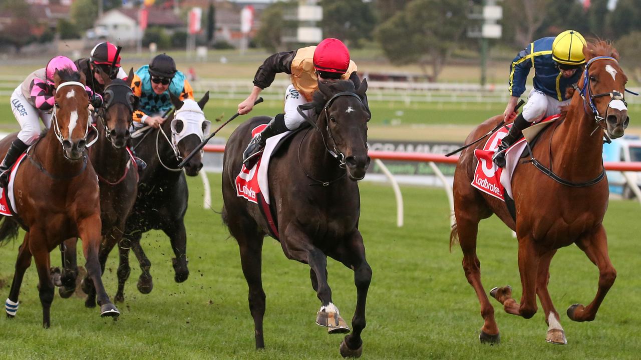 Victorian trainer Richard Cully at Morphettville with Celtic Blast ...