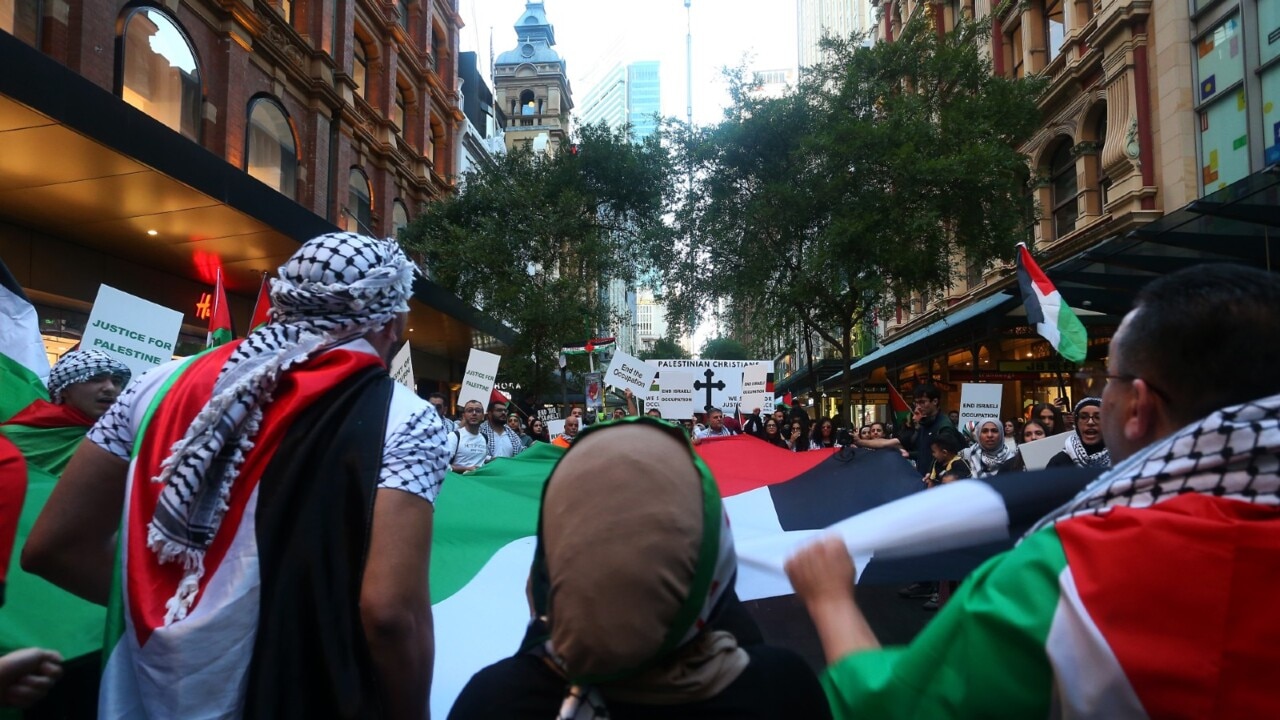 Anti-Israel activist calls on Arab leaders to 'take a stronger stance' on Palestine