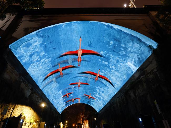 Vivid projections which will feature around Circular Quay this year. Picture: Richard Dobson