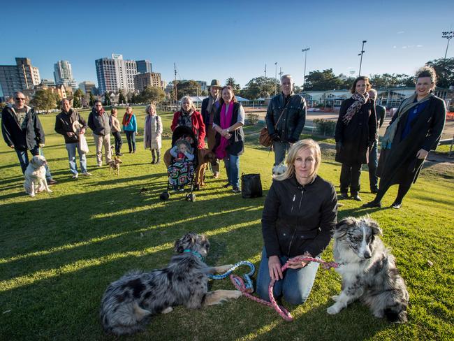 Nicole van Barneveld (foreground, seated) and her community group who are campaigning to stop a ventilation building and smoke stack being built in St Leonards Park. Picture: Julian Andrews.