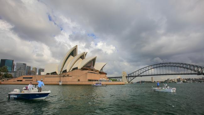 Fishing isn’t a threat to Sydney Harbour and angling lockouts aren’t a solution to the bigger issues of pollution and run off. Picture: Al McGlashan