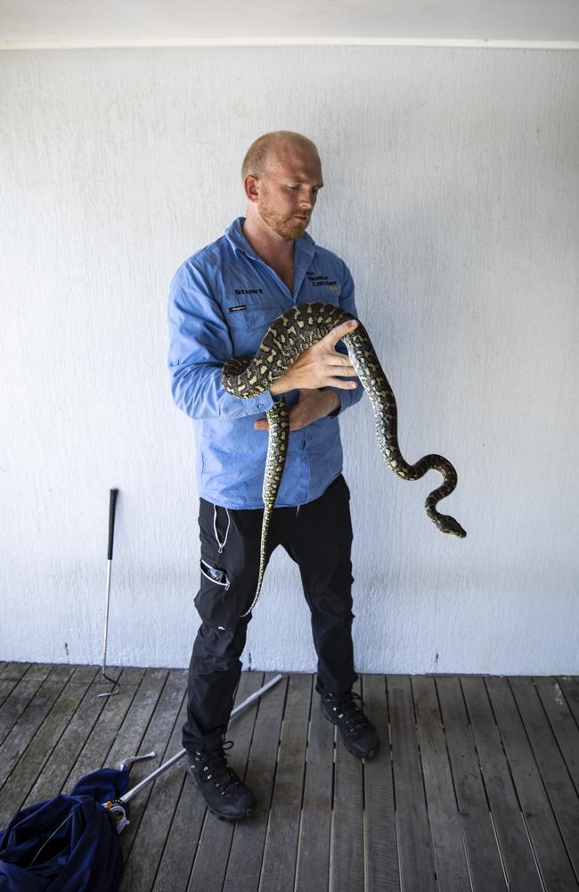 Stewart McKenzie handling a python. Picture: Mark Cranitch