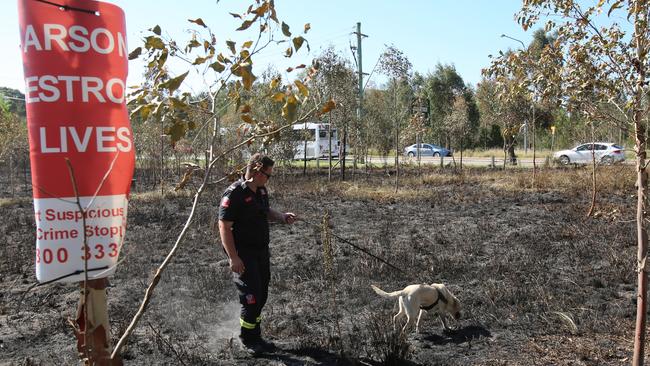 The site of the Western Sydney Parklands fire is investigated for clues. Picture: NSW Police