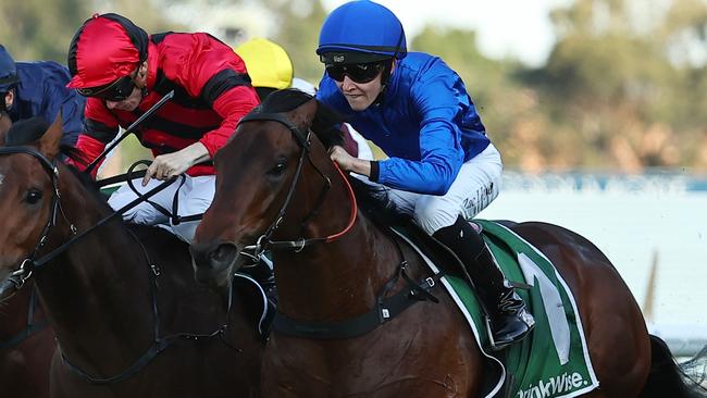 SYDNEY, AUSTRALIA - SEPTEMBER 14: Zac Lloyd riding Traffic Warden wins Race 8 James Squire Run To The Rose during Sydney Racing at Rosehill Gardens on September 14, 2024 in Sydney, Australia. (Photo by Jeremy Ng/Getty Images)