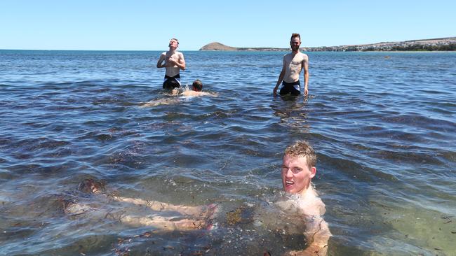 Team Sunweb riders cool down at Victor Harbor. Picture: Tait Schmaal.