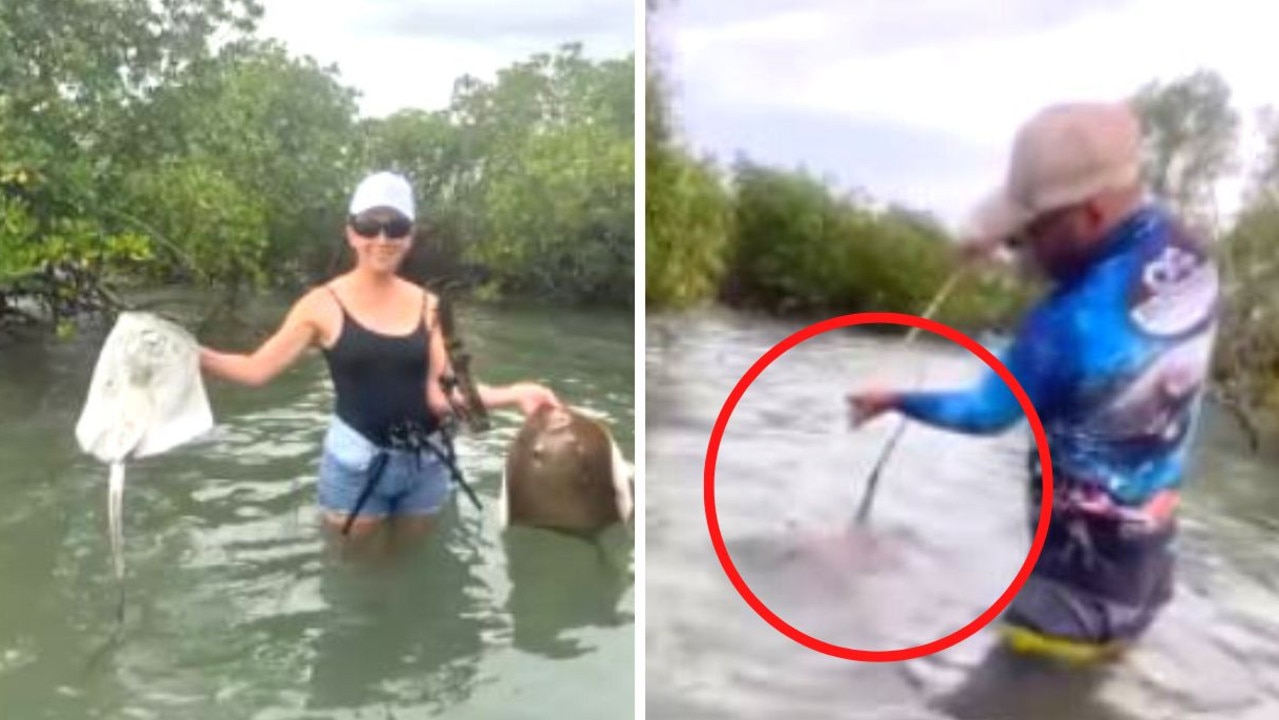 The stingray that stung Pete. Picture: Pete Griffiths/Facebook