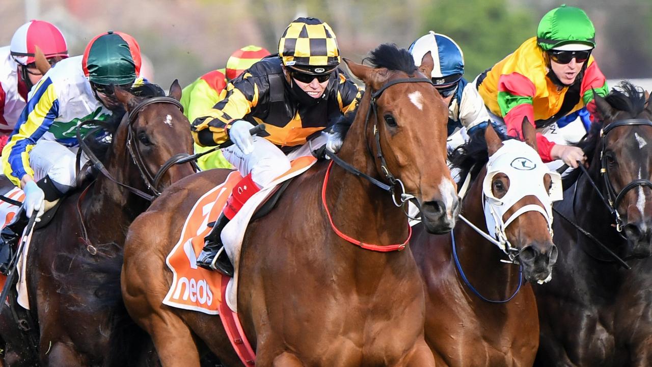 Neds Sir Rupert Clarke Stakes