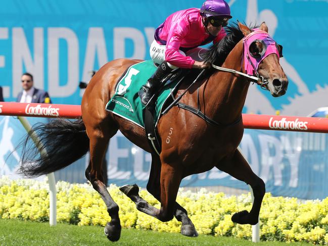 Soul Patch, ridden by Dwayne Dunn, salutes on Cox Plate Day last year.