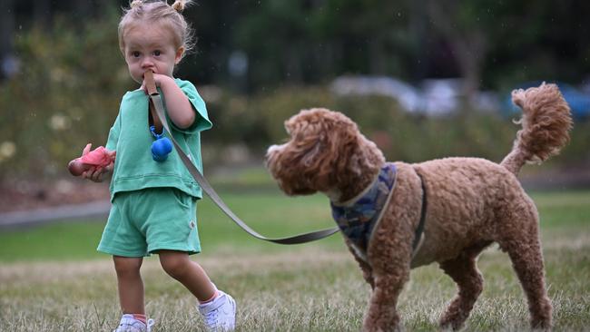 Katrina Gorry’s daughter Harper takes Rio for a stroll around New Farm Park in Brisbane. Picture: Lyndon Mechielsen