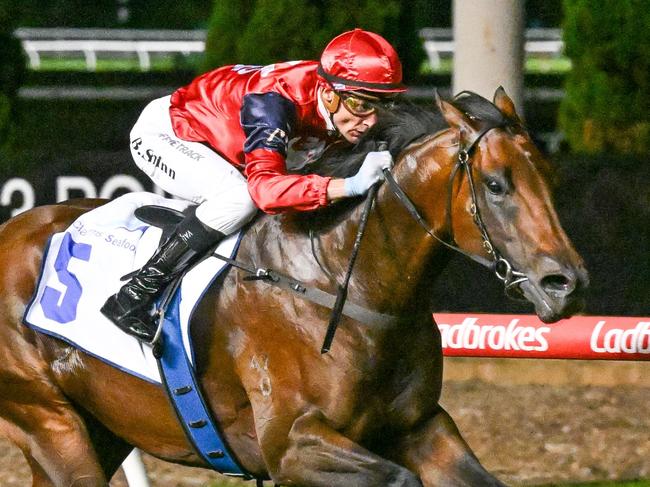 Schwarz ridden by Blake Shinn wins the Clamms Seafood Australia Stakes at Moonee Valley Racecourse on January 24, 2025 in Moonee Ponds, Australia. (Photo by Reg Ryan/Racing Photos via Getty Images)