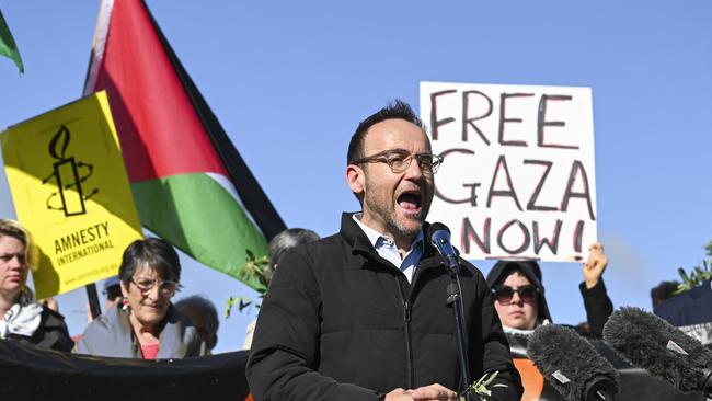 Adam Bandt attends a pro-Palestine rally in front of Parliament House. Picture: NCA NewsWire / Martin Ollman