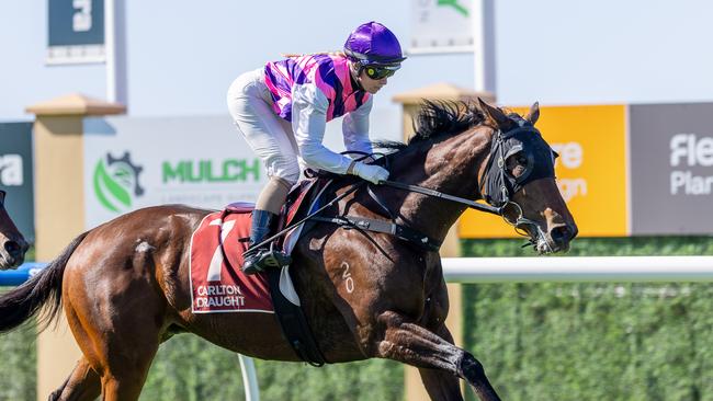Crowther winning aboard Estefan earlier on the day of her injury. Picture: Makoto Kaneko
