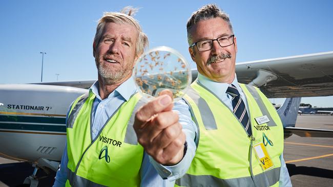 Dan Ryan and Will Zacharin with of sterile fruit flies at the airport. Picture: AAP Matt Loxton