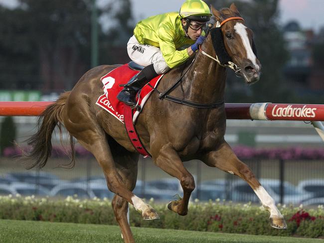 Sprightly Lass on his way to victory at Moonee Valley in November. Picture: AAP