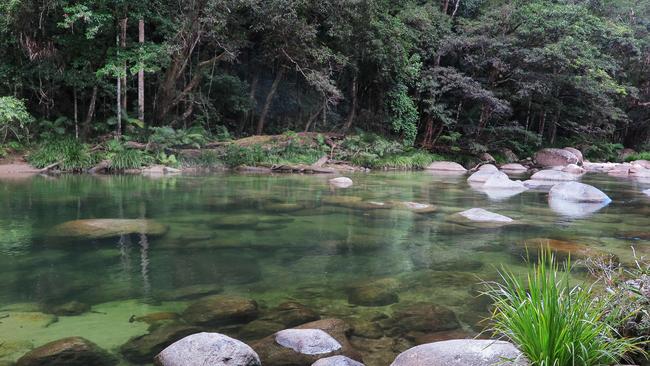 “A lot of people know about the Great Barrier Reef, but they don’t know what the Daintree actually is.” Picture: Brendan Radke