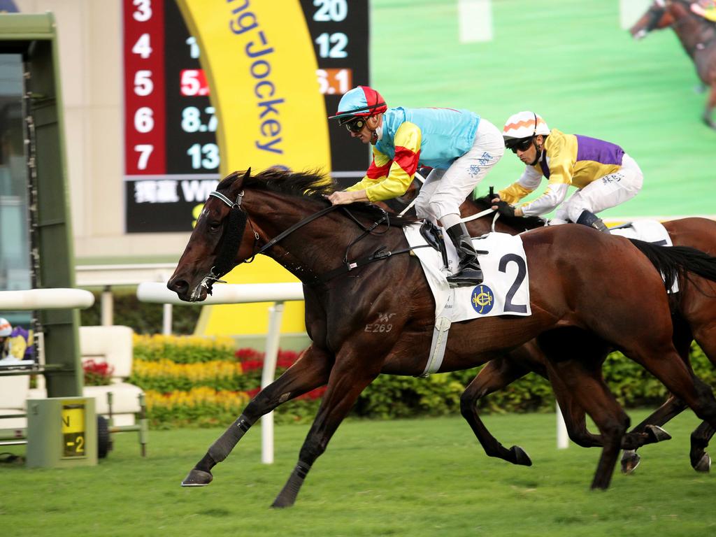 Fantastic Treasure wins first-up this campaign. Picture: HKJC