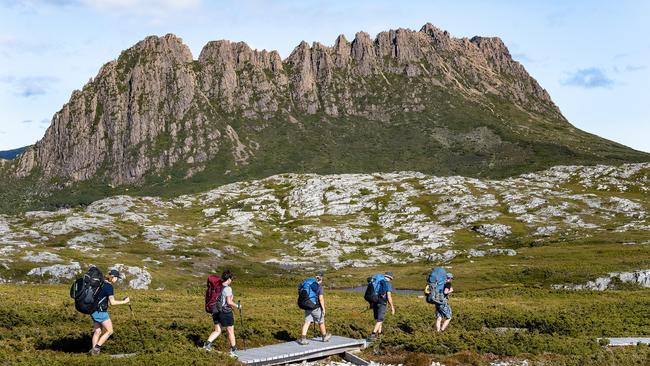 On the Cradle Mountain Overland Track.