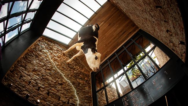 Hanging the cow has caused a backlash on social media for Etica Pizza. Picture: Matt Turner