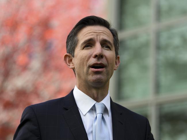 Australia’s Tourism Minister Simon Birmingham said that there were no plans to ease Australia’s border restrictions. Picture: AAP