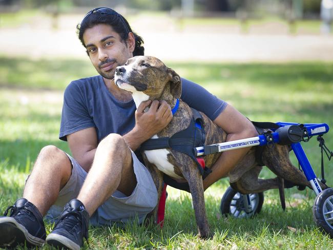 Saagar Narsey helped care for Denzel before his adoption.