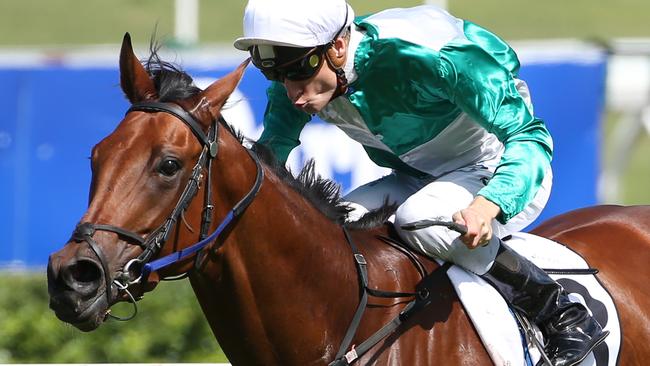 Blake Shinn has a good book of rides at Warwick Farm on Wednesday.