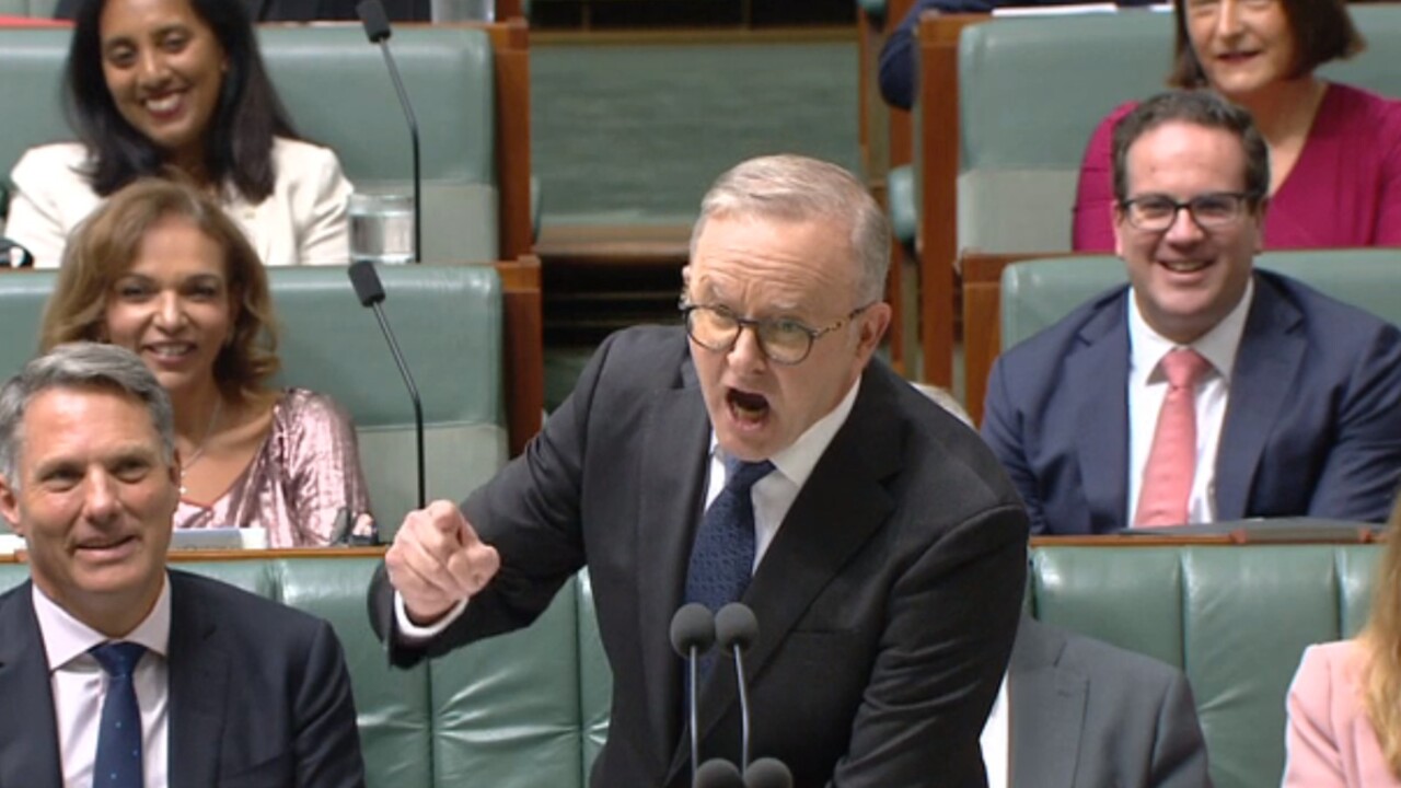 'Hopelessly divided’: Albanese blasts ‘coalition of hatred’ during Question Time