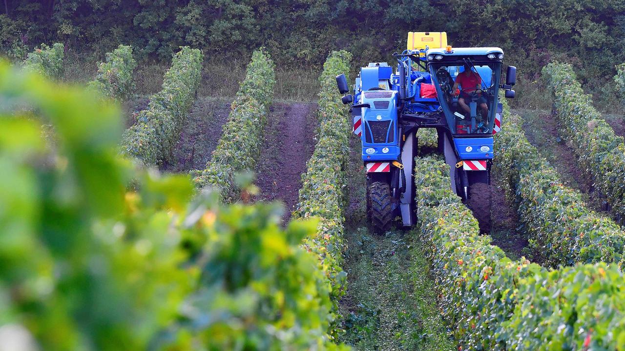 EU releases ‘vision’ for farming amid chemical ban concerns