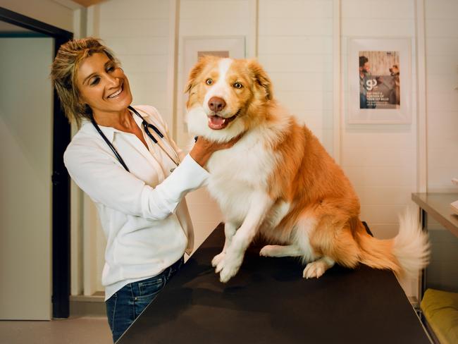 Greencross Vets’ chief veterinary officer, Dr Magdoline Awad. Picture: Dogfolk Pet Photography