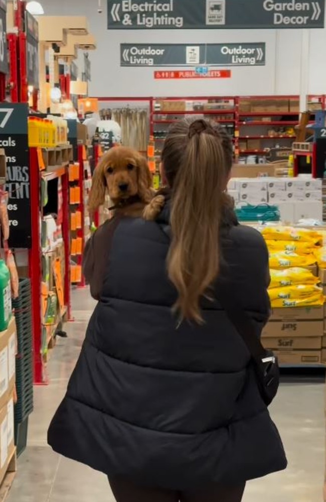 Bunnings has nurseries inside its hardware stores across the country. Picture: Instagram