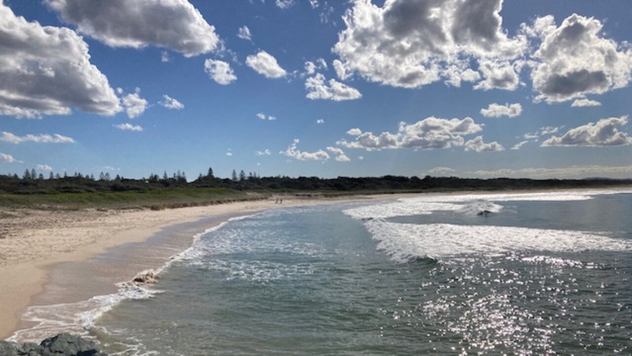 Tuncurry Beach: Myall Lakes MP calls for shark drum lines intervention ...