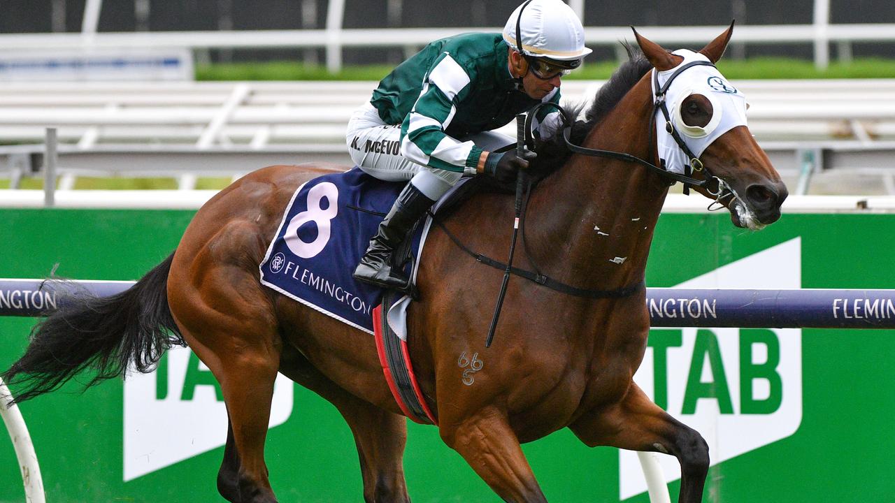 Mount Tabora relished the soggy conditions at Flemington. Picture: AAP