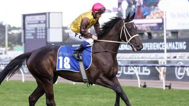 Foxy Cleopatra will relish getting back on firmer ground in Saturday’s Group 3 TS Carlyon Cup at Caulfield. Picture: Racing Photos via Getty Images.