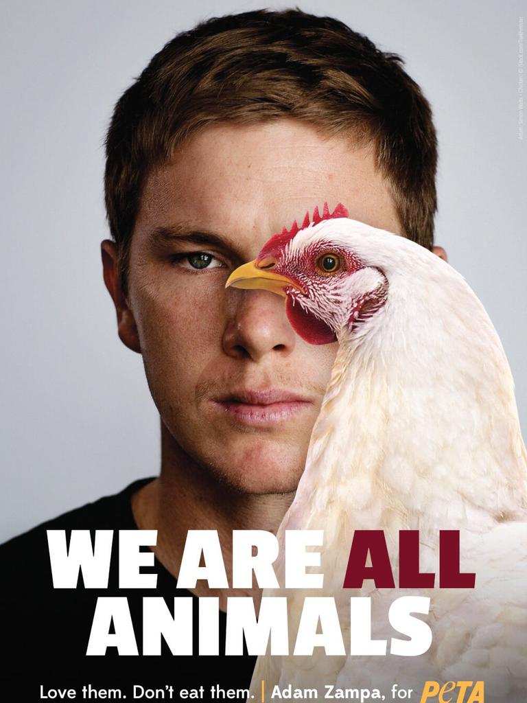 The most controversial PETA images of all time The Advertiser