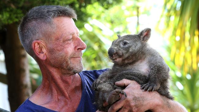 Wildlife carer Stephen Jones with a juvenile wombat recovering from mange at Kelso. Pictures: CHRIS KIDD