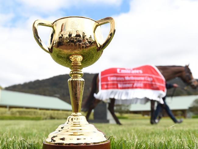 Melbourne Cup winner Almandin with the Melbourne Cup at Macedon Lodge in Melbourne, Wednesday. Nov. 2, 2016. Almandin overcame a potent international challenge to beat the Irish stayer Heartbreak City in the Melbourne Cup, with Hartnell taking the minor placing. (AAP Image/Tracey Nearmy) NO ARCHIVING