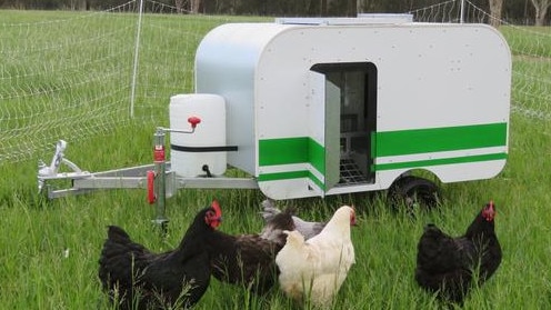 CHOOK VAN: At Primex Casino on May 20, 2021, you can view the cutest chicken caravan in a retro style to give your chooks somewhere safe to roost over night.