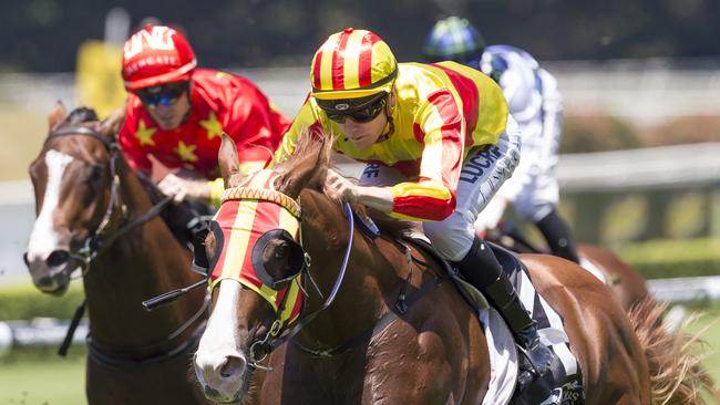 Jockey Koby Jennings rides Quackerjack to win Race 1 at Royal Randwick Racecourse, Sydney. Picture: AAP