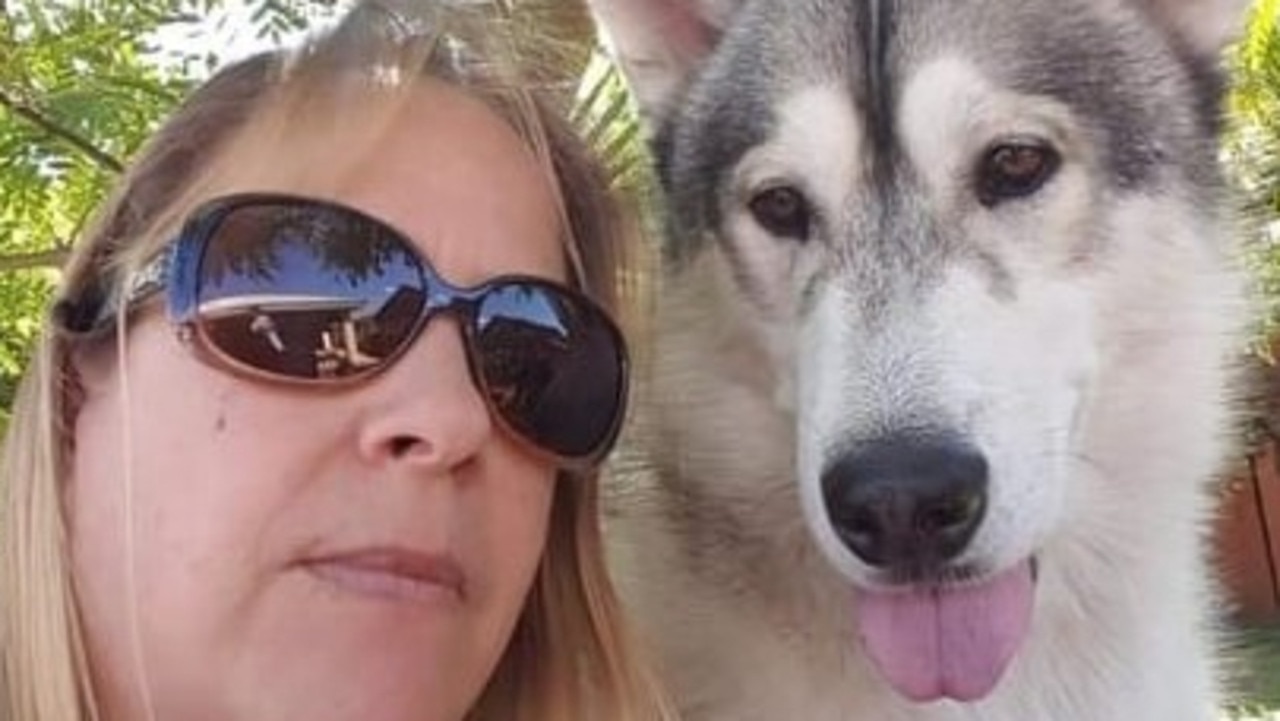 HELP NEEDED: Monique Hall’s family is desperately trying to find a loving home in Queensland for her two Alaskan Malamutes, Hunter and Mishka. Pic: Supplied