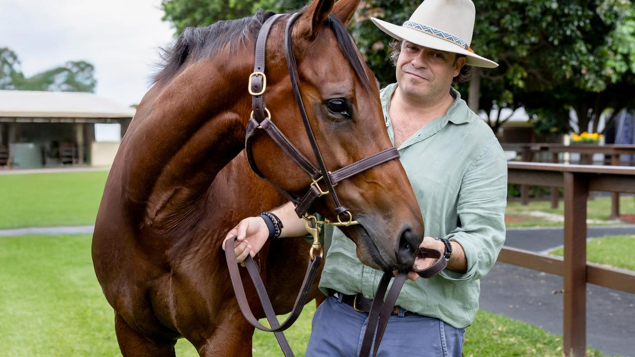 Horse breeder’s Zougotcha moment – for $5.25m